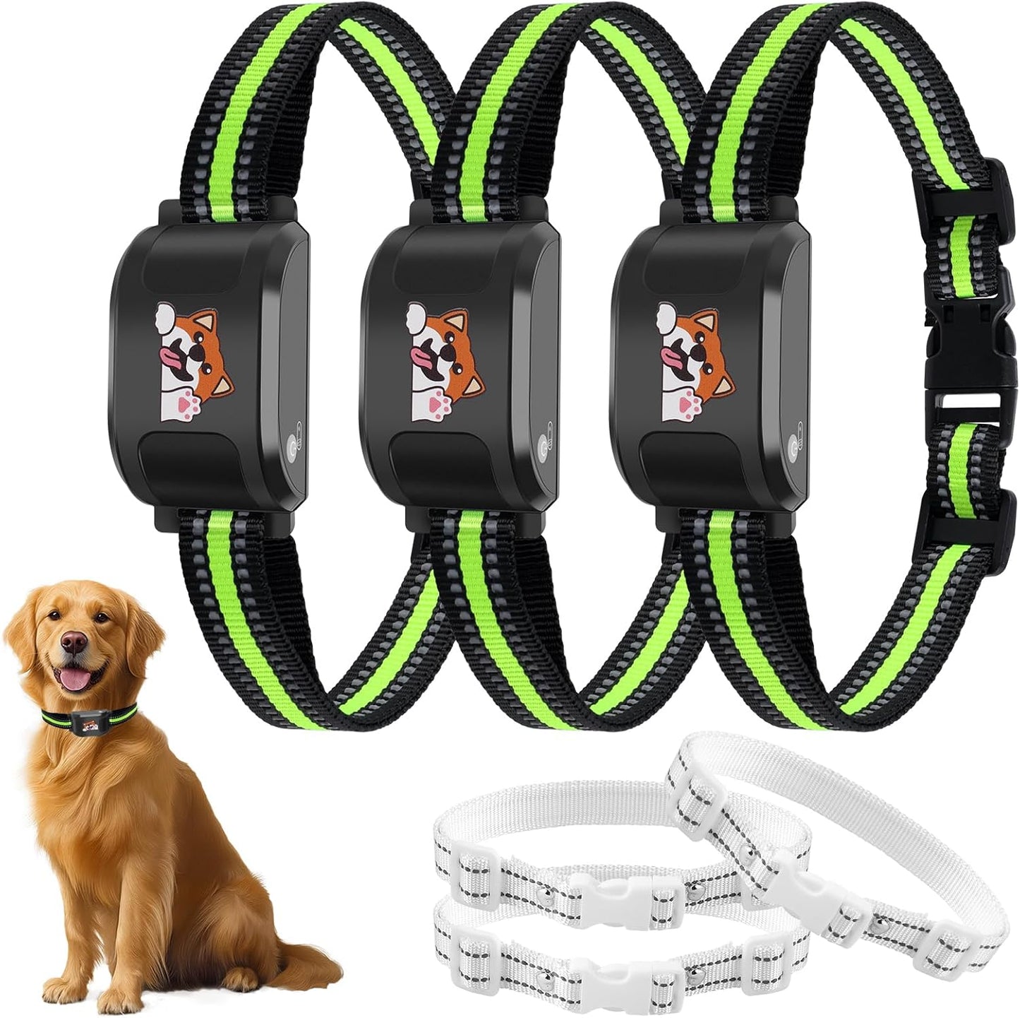 GPS Wireless Dog Fence & Training Collar with No Subscription Fees