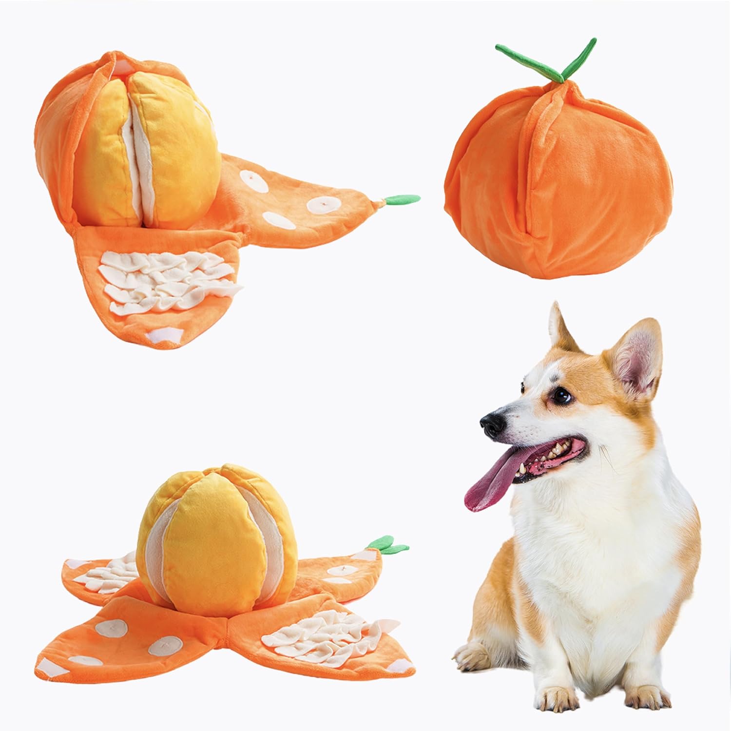 Squeaky Tangerine Duo - Interactive Dog Toys