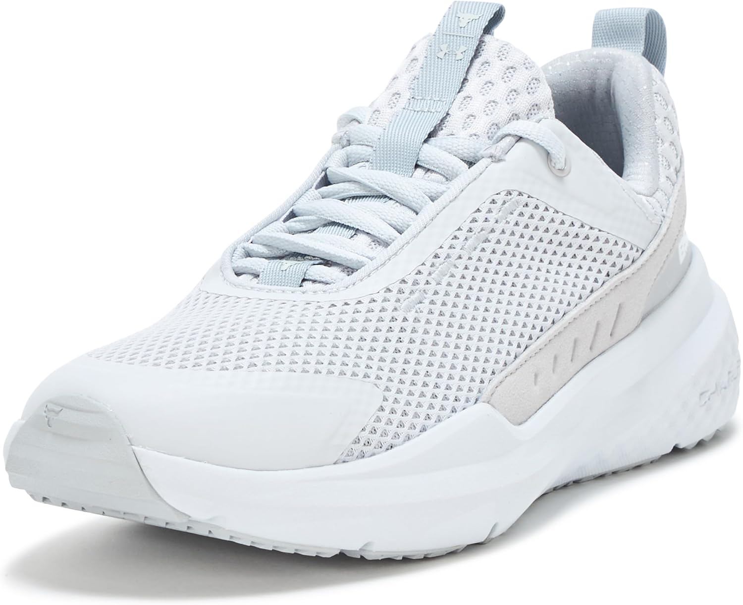 Under Armour Men's Project Rock Blood Sweat Respect 5 Training Shoes