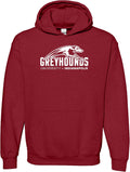 UGP Campus Apparel NCAA Hoodie Unisex Cotton Blend - Official Print