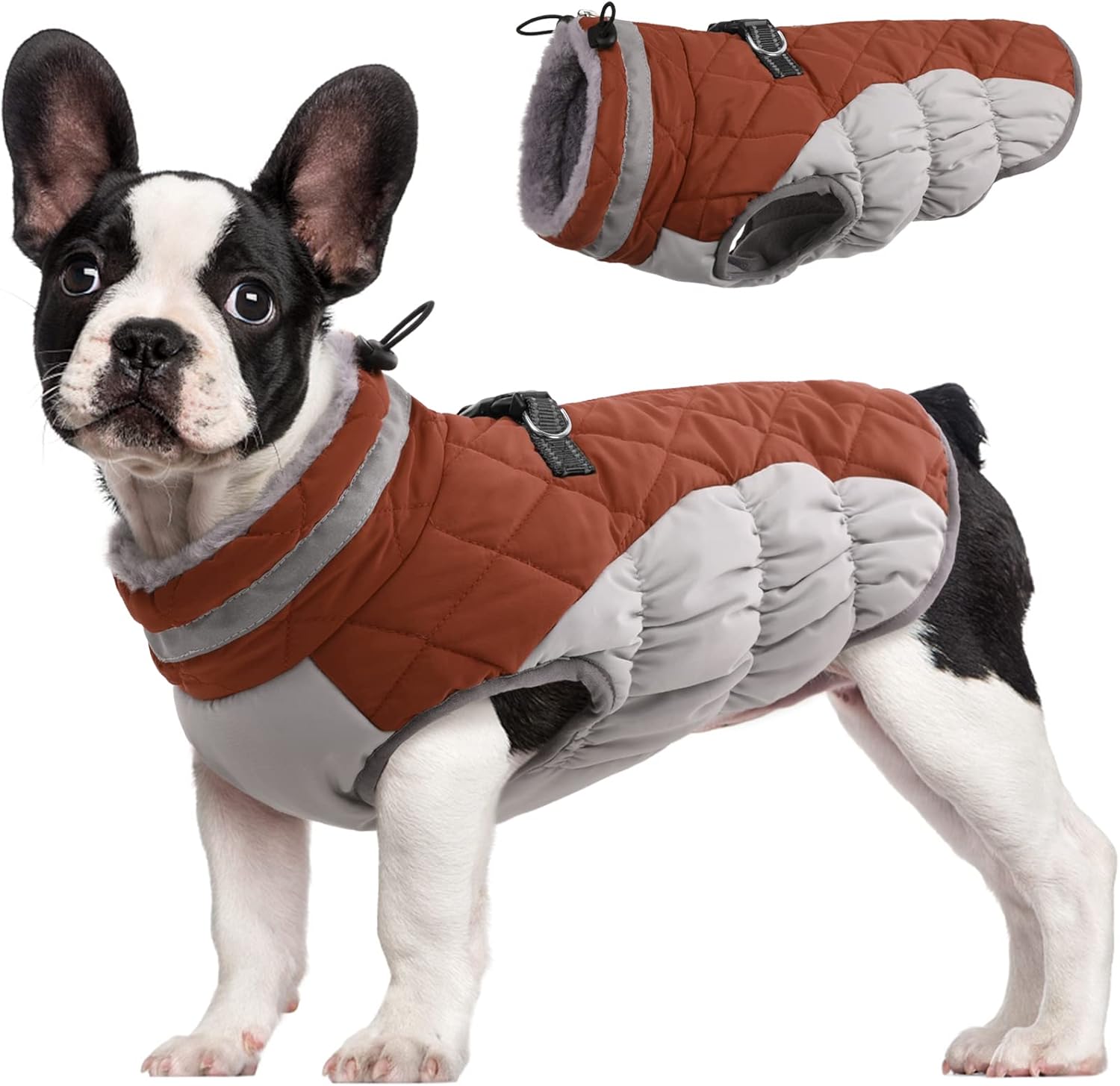 FUAMEY Dog Coat for Medium Dogs - Waterproof Winter Jacket