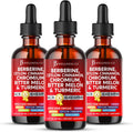 Berberine with Ceylon Cinnamon Liquid Drops - Advanced Blend