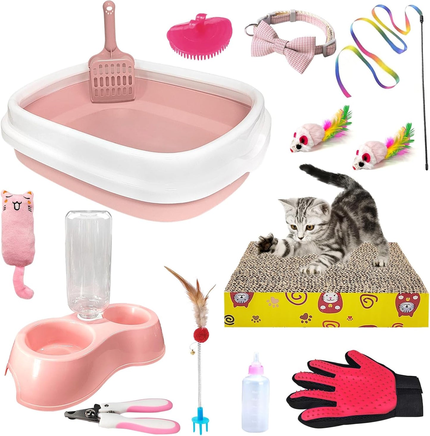 Complete Kitten Care Set - Everything Your New Cat Needs!