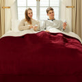 King Size Electric Blanket 100 in x 90 in - Dual Control Heated