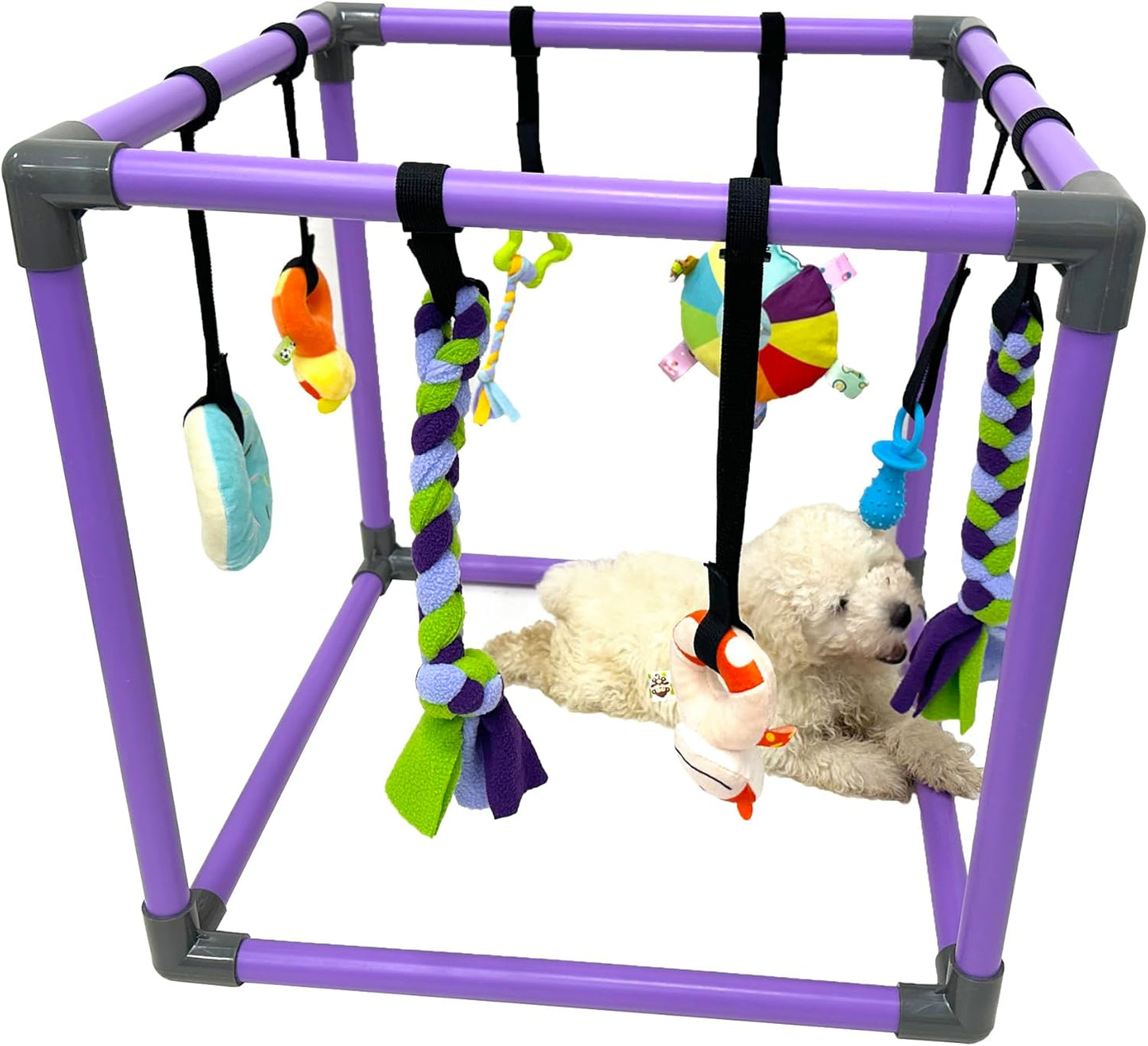 Puppy Play Gym for Small Dogs by DOZZOPET - Fun & Engaging
