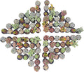 Assorted 50 Pack Succulents Live Plants - Low Care Home Decor