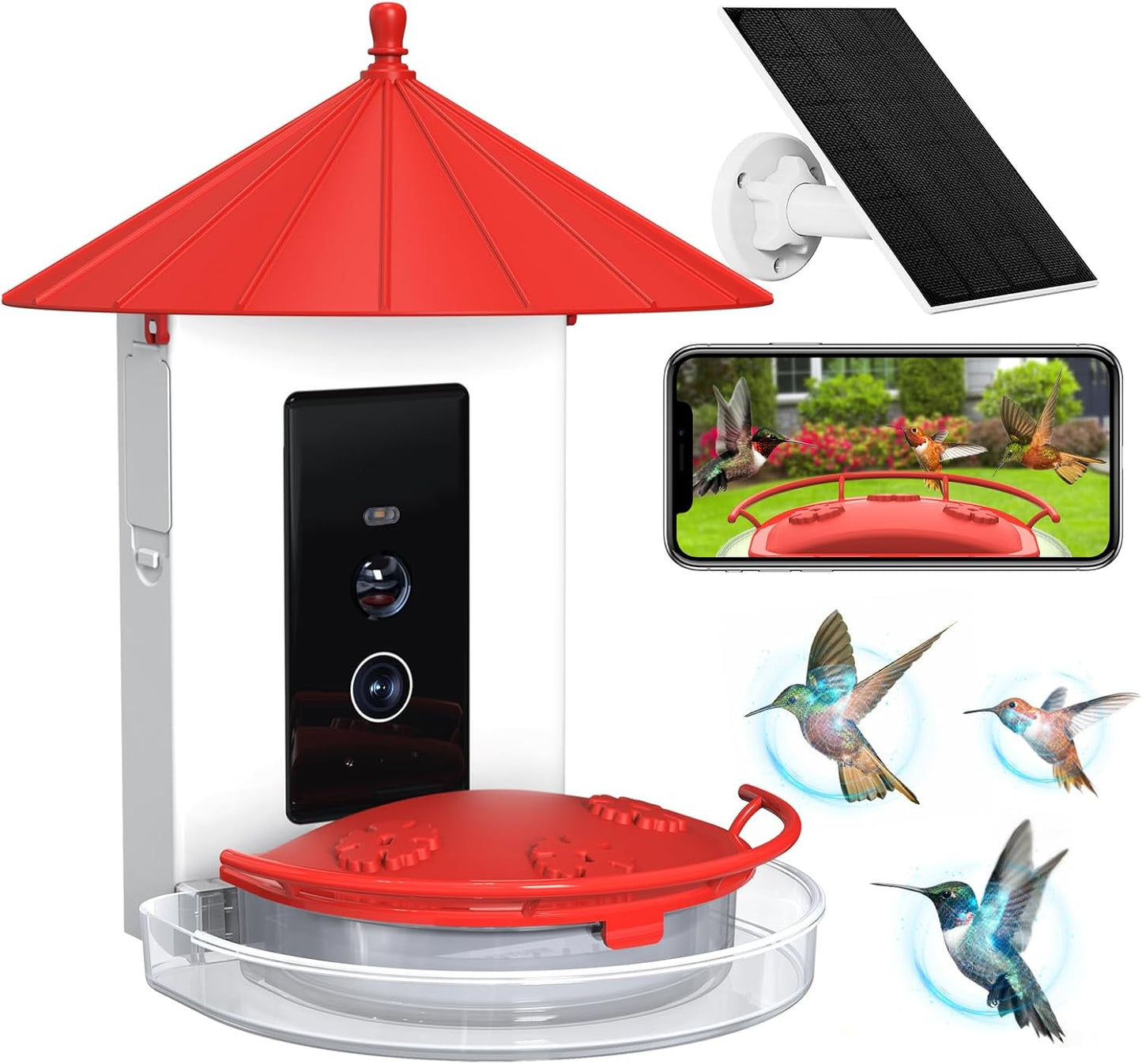 1080P HD Hummingbird Feeder with Free AI