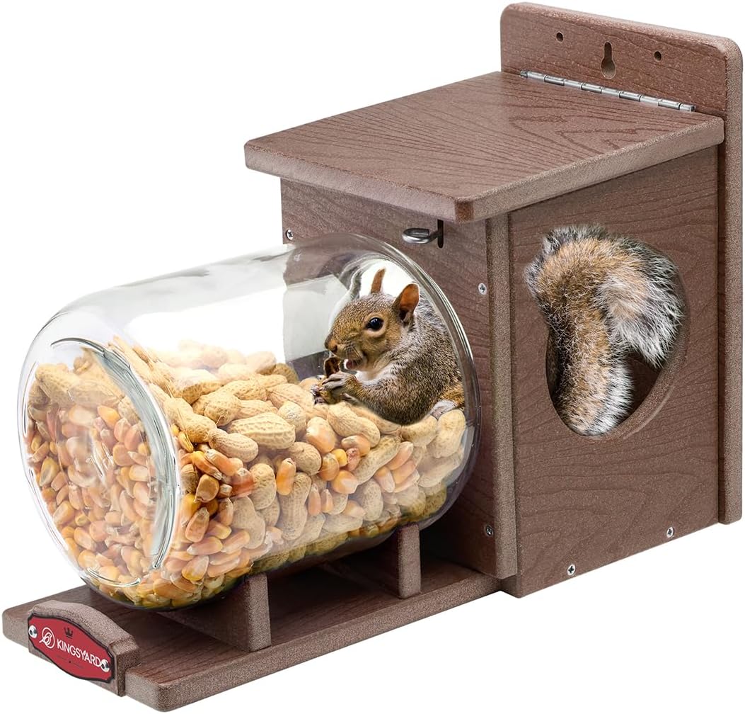 Recycled Plastic Squirrel Feeder for Outside - Durable & Fun