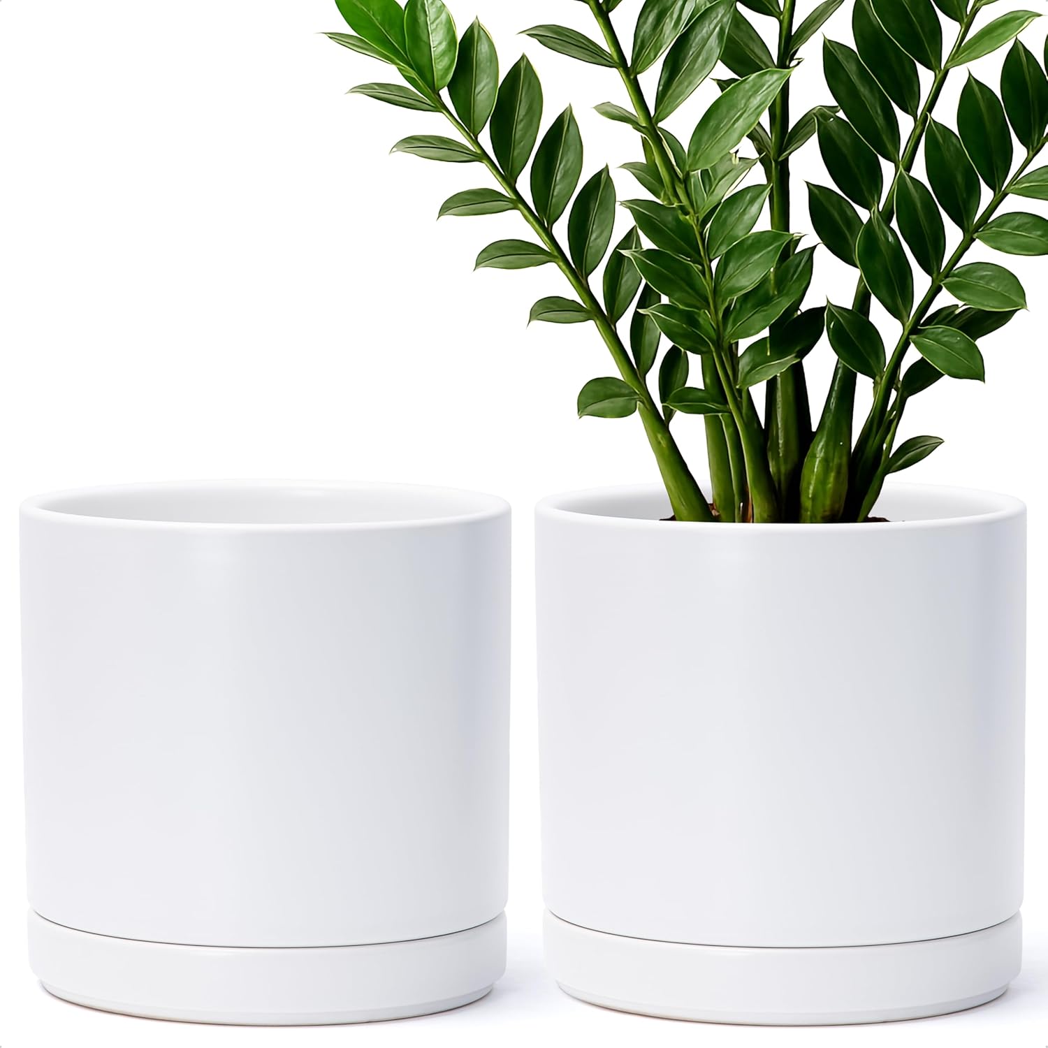 D'vine Dev Set of 2 Ceramic Planter Pots with Drainage Holes