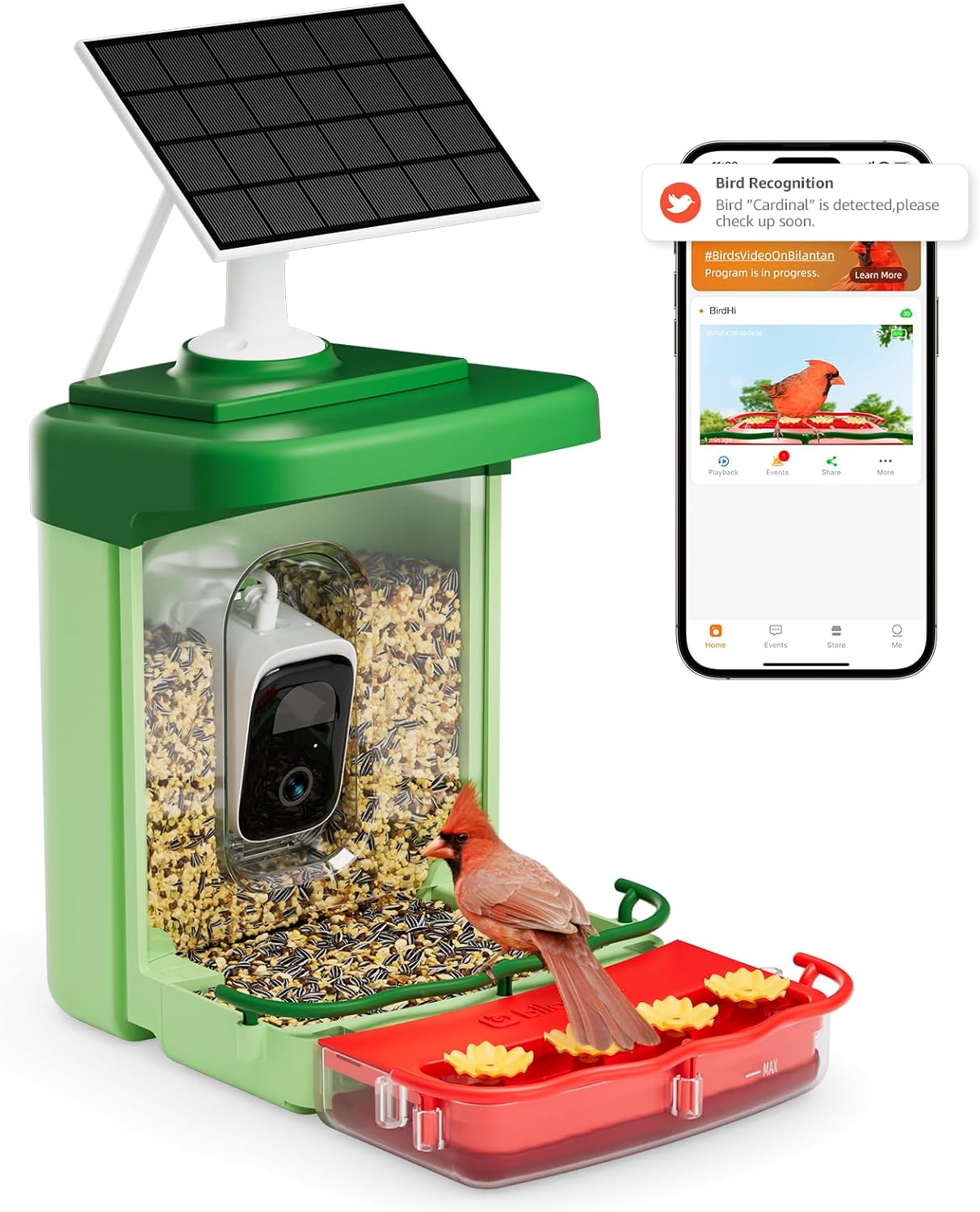 Bilantan: AI Birds Feeder with Camera