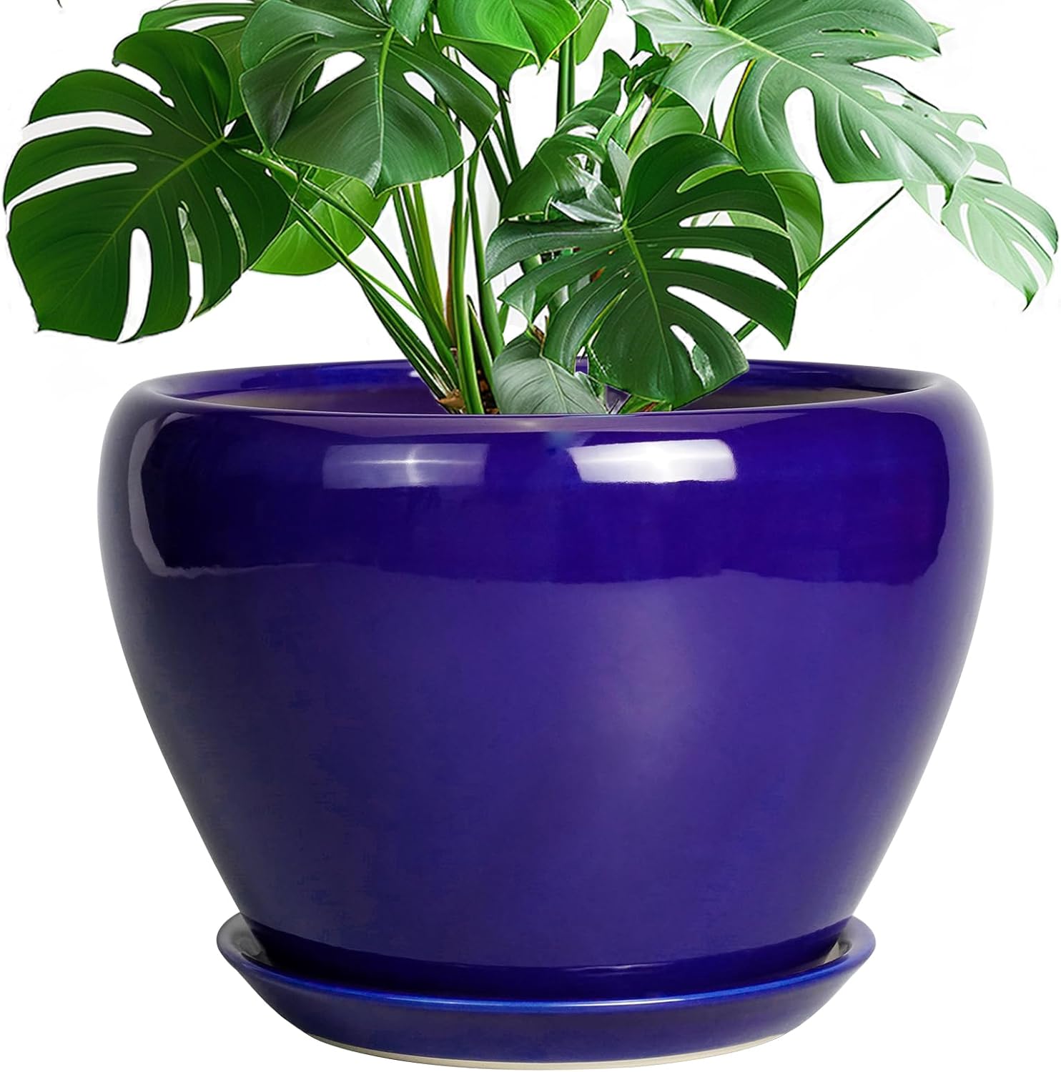 Ceramic Planter 10 Inch with Drainage Hole for Indoor Plants