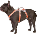 No Escape Dog Harness - Reflective, Padded Handle, Escape Proof M