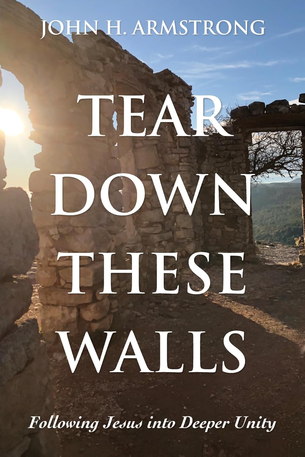 Tear Down These Walls: Following Jesus Into Deeper Unity Review