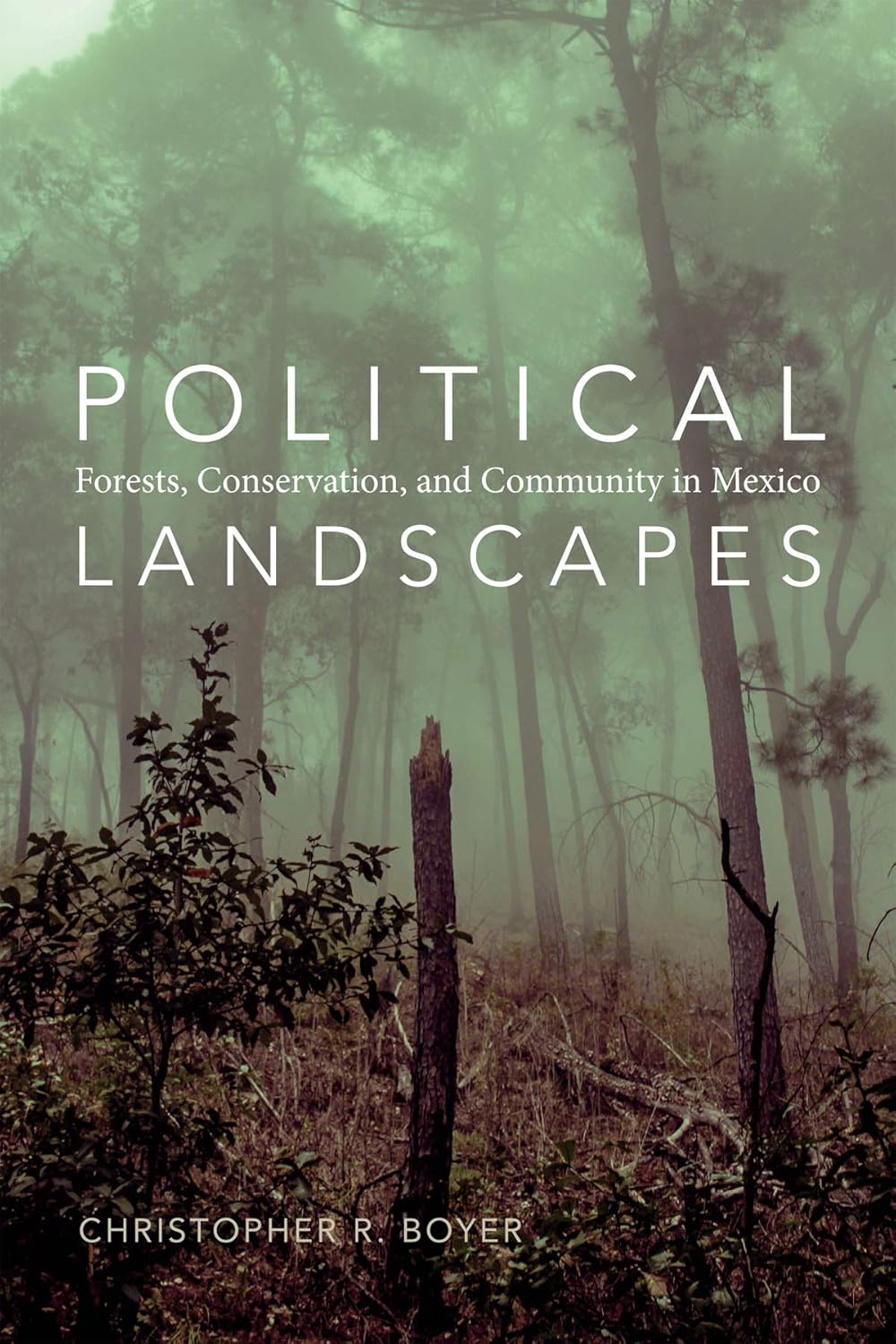 Political Landscapes: Forests, Conservation, and Community Insights