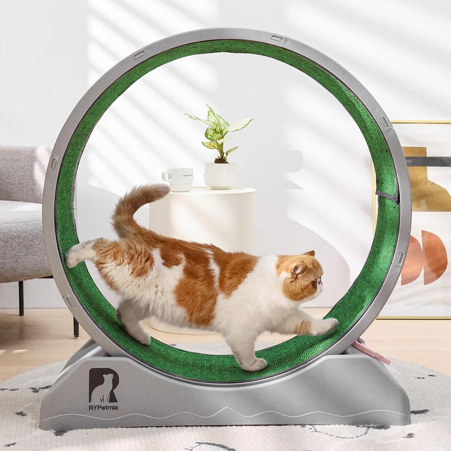 Cat Exercise Wheel for Indoor Fitness - 31.5 Inch Treadmill