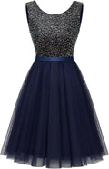 Sequin A Line Cocktail Mini Dress - Vintage Swing Tulle