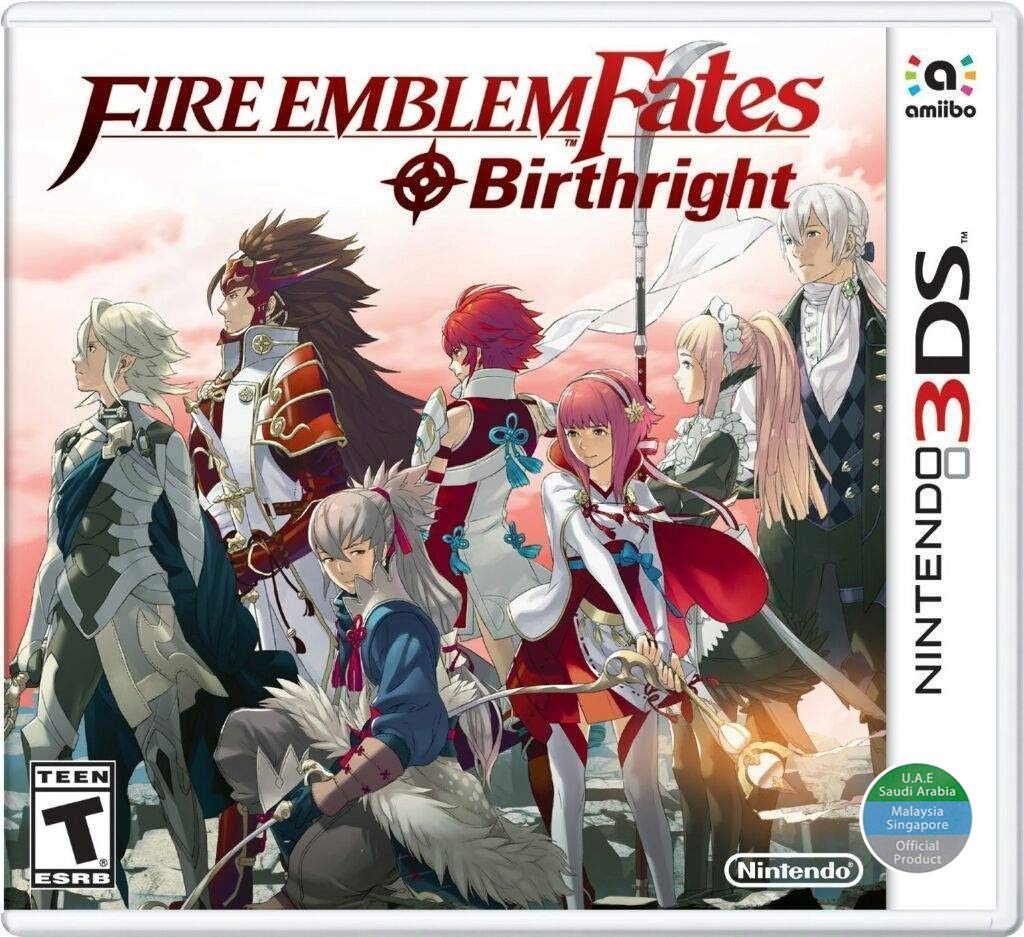 3DS Fire Emblem Fates: Birthright - A Strategic Adventure Game