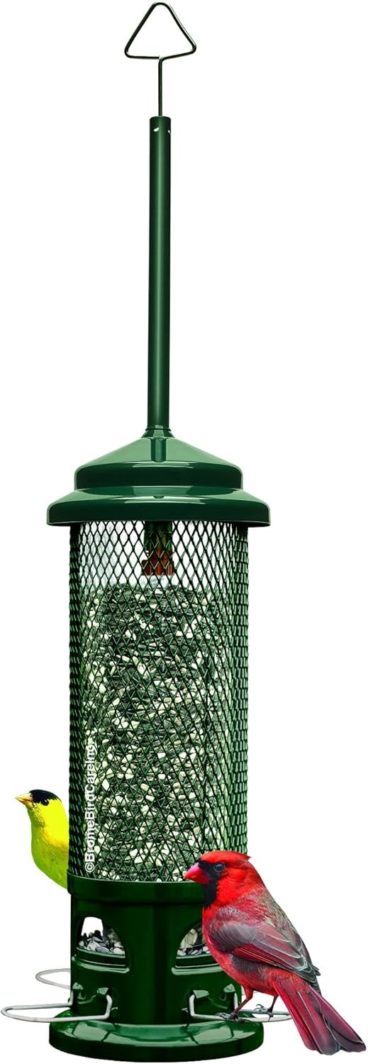 Squirrel Buster Legacy Squirrel-Proof Bird Feeder for Wild Birds