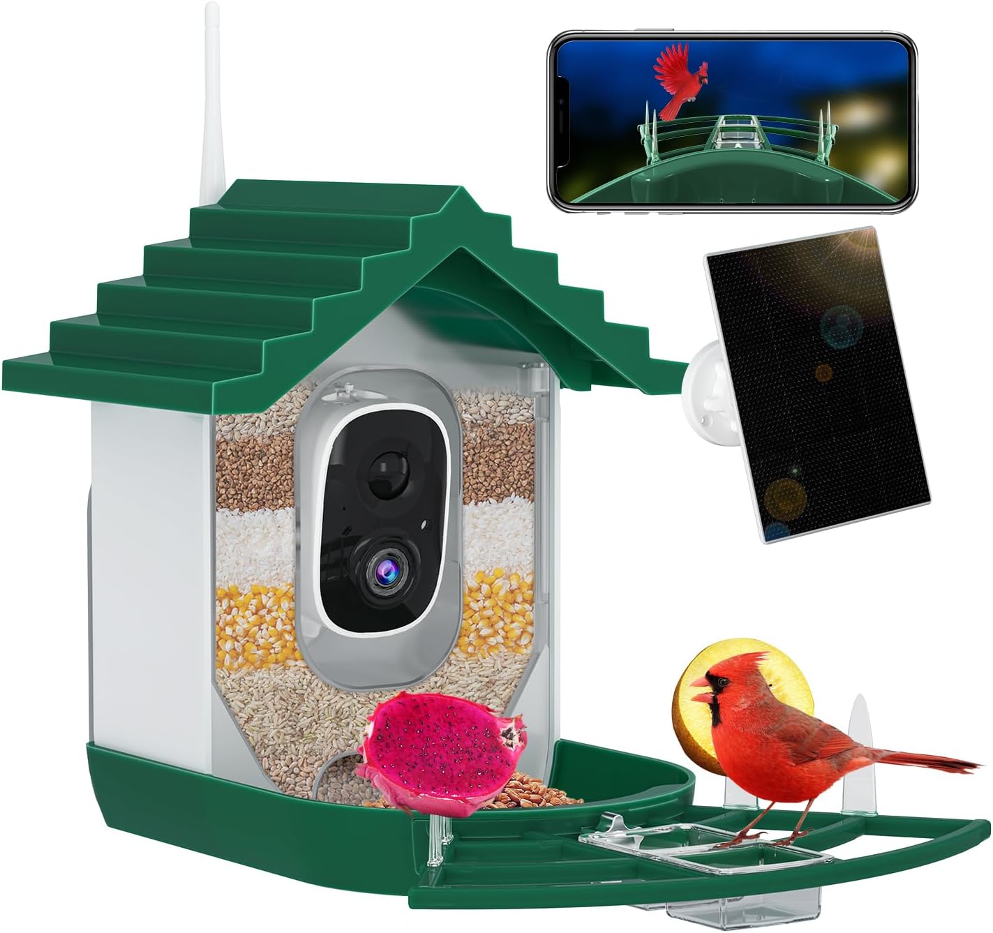Smart Solar Bird Feeder with HD Camera & Motion Detection