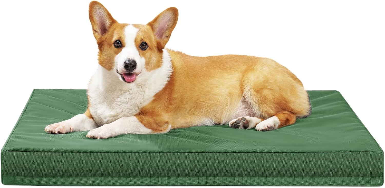 Indestructible Dog Beds for Large Dogs with Orthopedic Foam