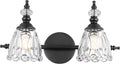 Matte Black Vanity Light - Farmhouse 2-Light Bathroom Sconce