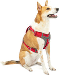 Journey Air Dog Harness - Secure, Breathable Vest for Active Dogs