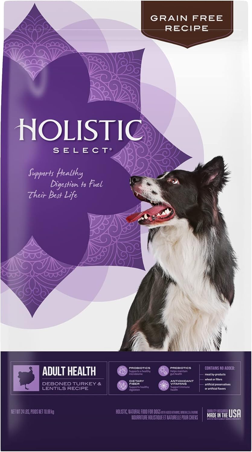 Holistic Select Natural Grain Free Dog Food for Digestive Health