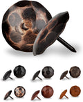25 Pack 1.5in Round Head Iron Clavos in Oil Rubbed Bronze - Rustic