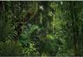 12x8ft Jungle Forest Photography Backdrop for Outdoorsy Camping Theme