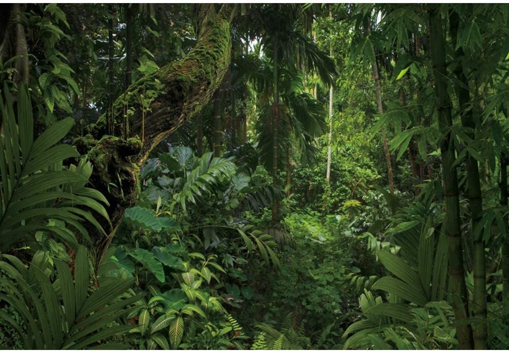 12x8ft Jungle Forest Photography Backdrop for Stunning Events