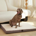 DaysU Dog Bed for Extra Large Dogs - Orthopedic XL Mat for Joint