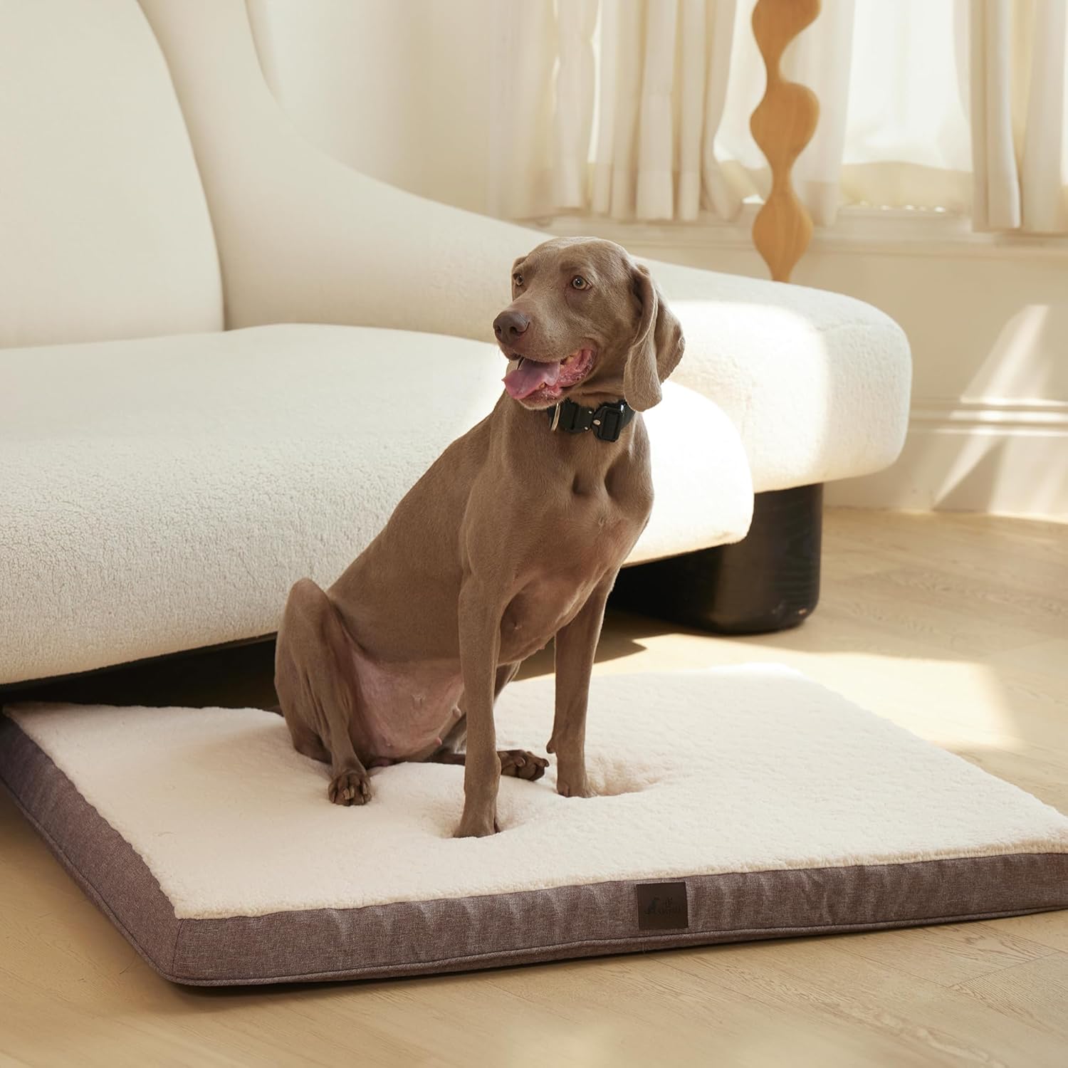 Orthopedic Dog Bed for Extra Large Dogs with Washable Cover