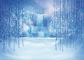 10X10FT Ice and Snow White World Photography Backdrop for Kids