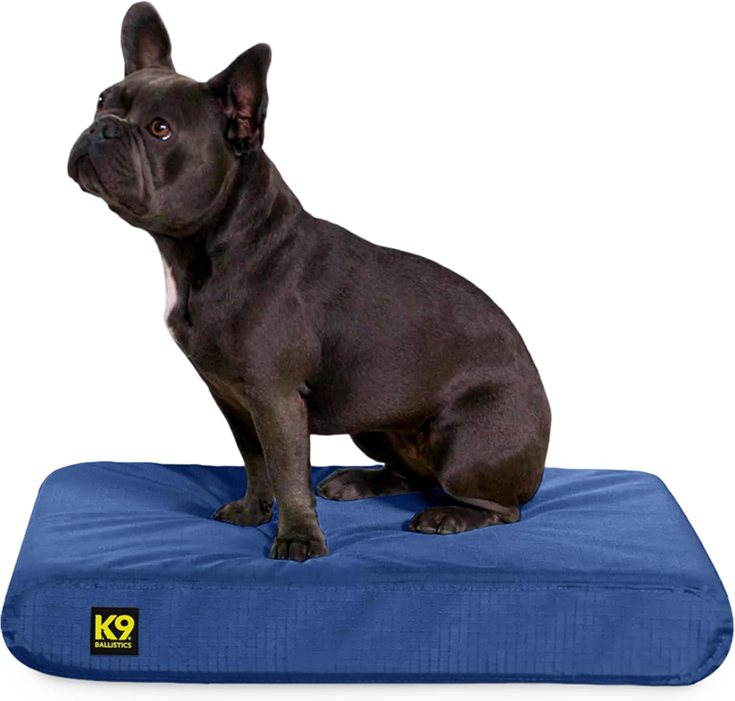 K9 Ballistics Tough Rip-Stop Orthopedic Dog Bed for Small Dogs