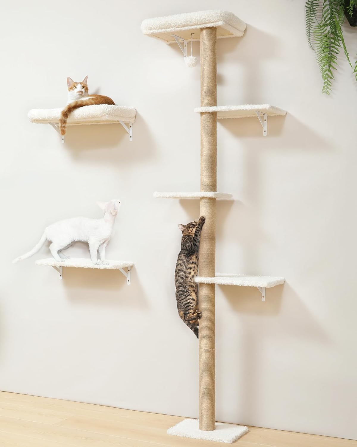 FUKUMARU Cat Wall Shelves - Stylish Space Saving Climbing Set