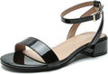 Women's Chunky Block Low Heels Sandals - Open Toe Ankle Strap
