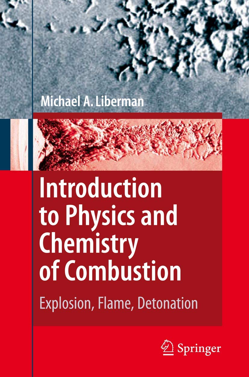 Introduction to Physics and Chemistry of Combustion: A Deep Dive