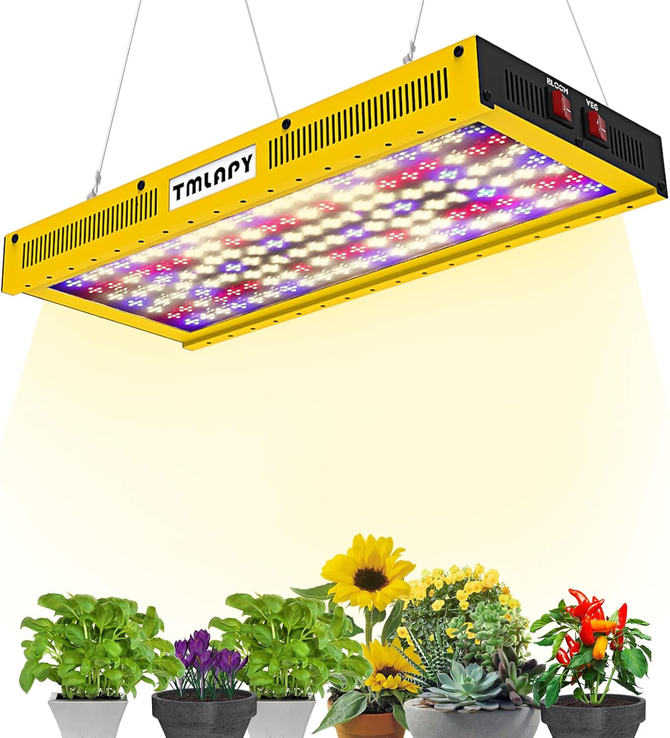 Boost Plant Growth with TMLAPY LED Grow Lights