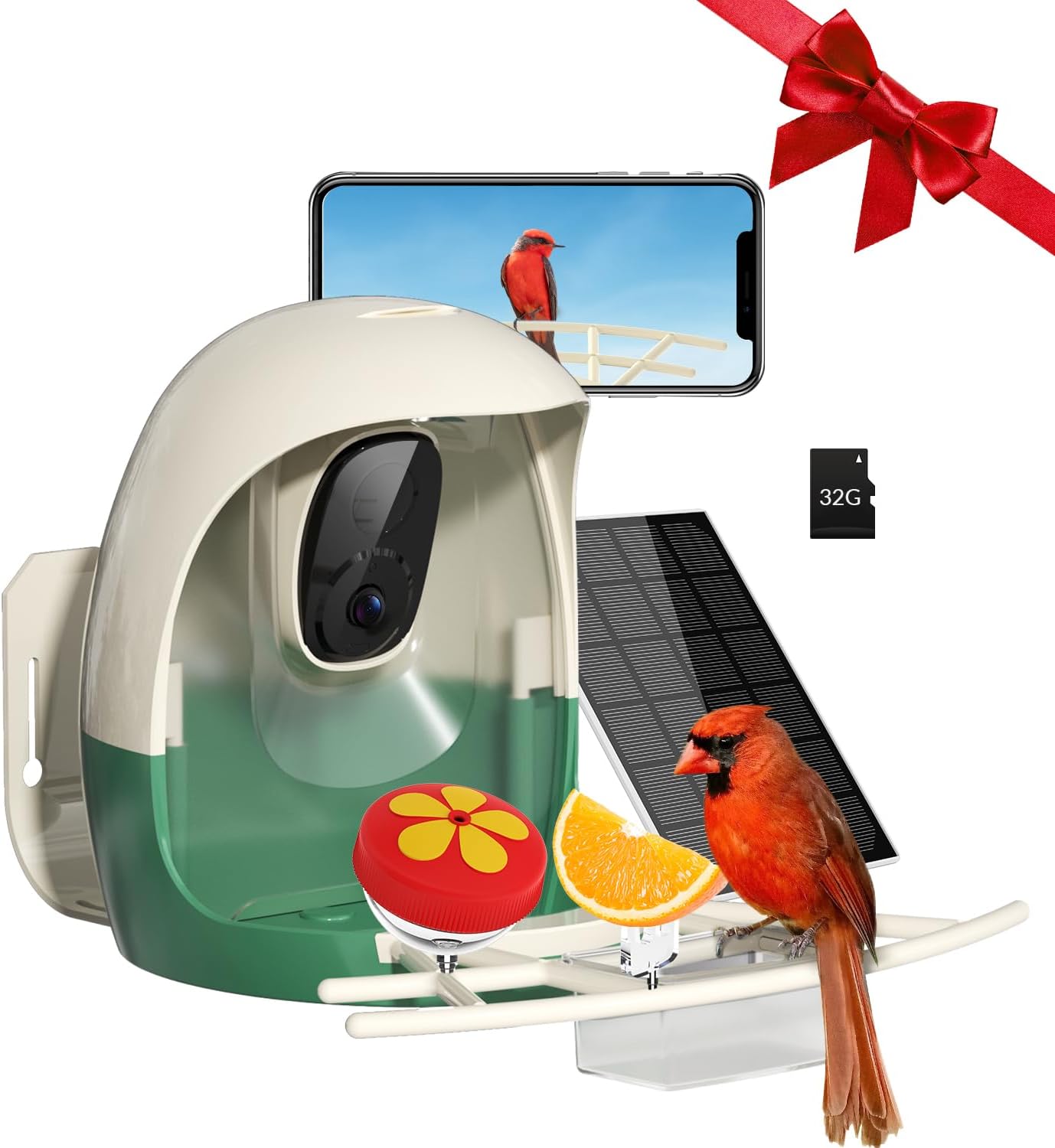2K Smart Bird Feeder: AI Bird Identification