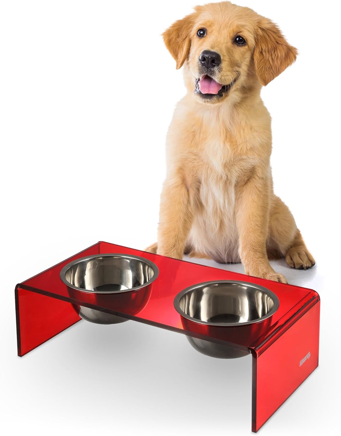 Modern Acrylic Elevated Pet Feeder with Stainless Steel Bowls
