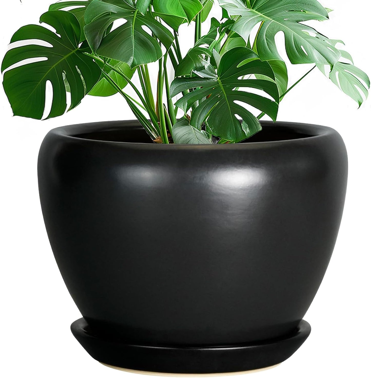 Ceramic Pot for Plants - 10 Inch Indoor Planter with Saucer