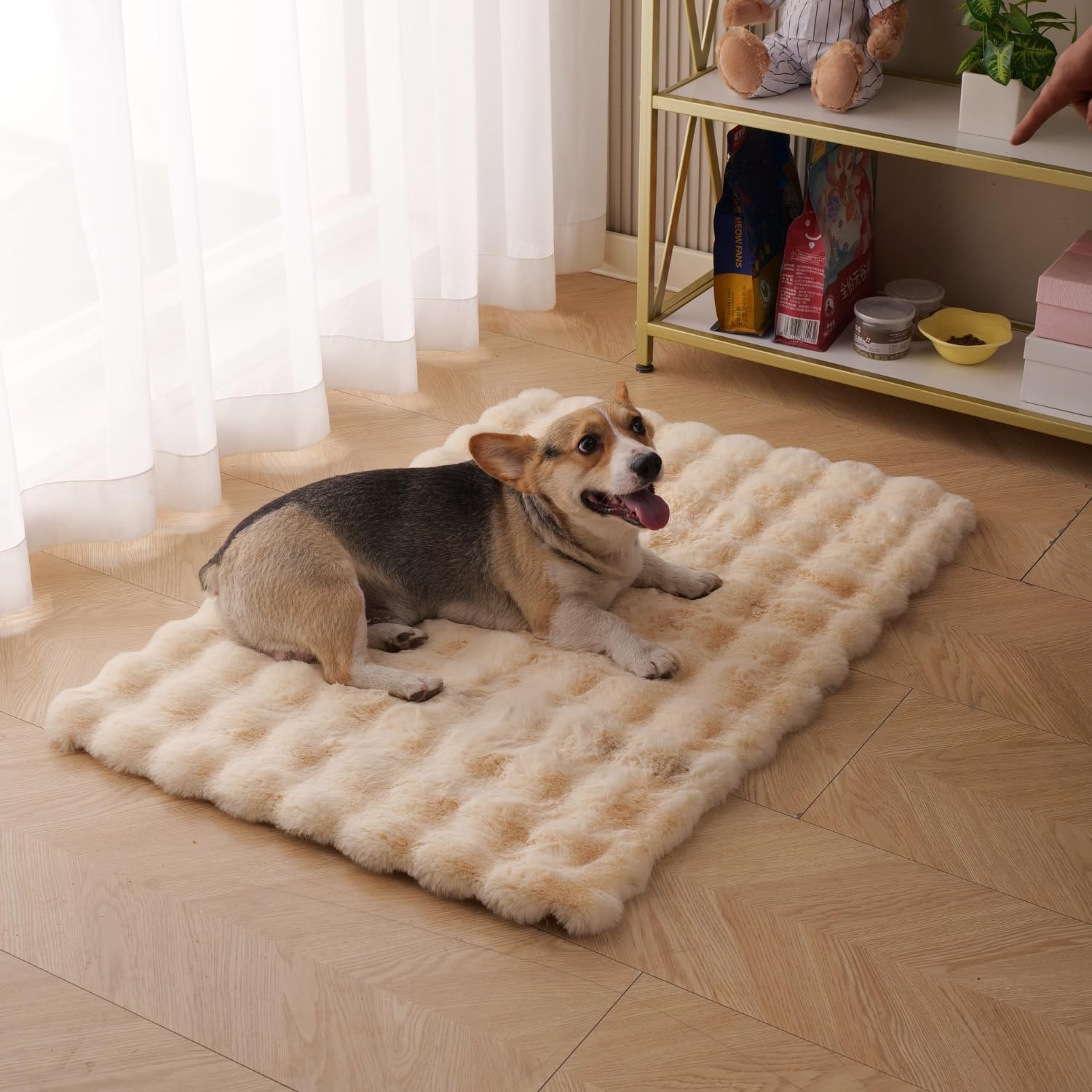 SHENGOCASE Pet Cushion Pad for Dogs and Cats - Cozy Bed Insert