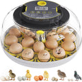 Incubator for Hatching Eggs 18-Capacity - Automatic Turner, Temp
