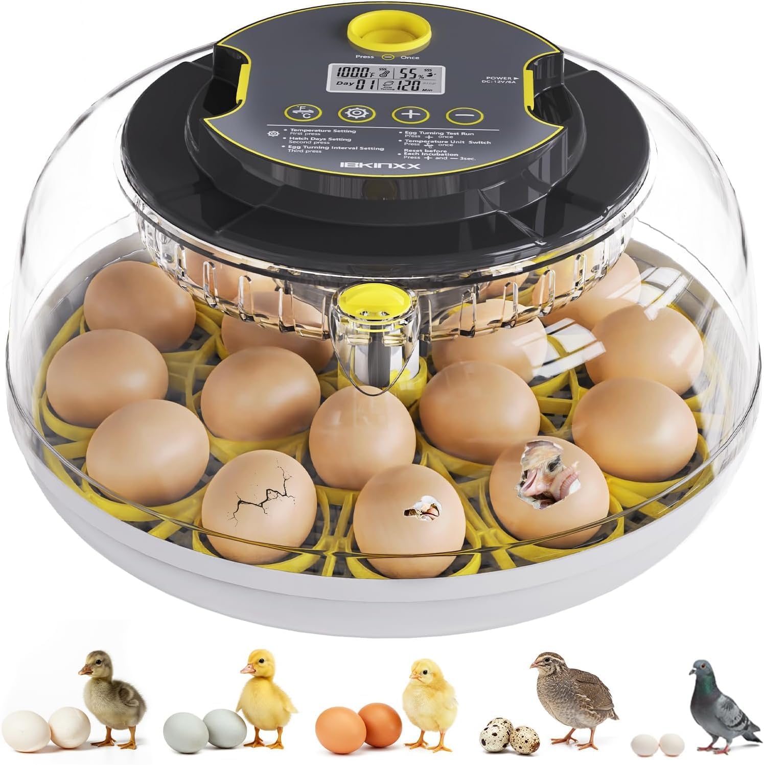 Incubator for Hatching Eggs with Automatic Turner & Control