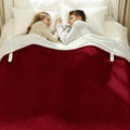 Electric Blanket Queen Size 84in x 90in - Dual Control Heated Throw