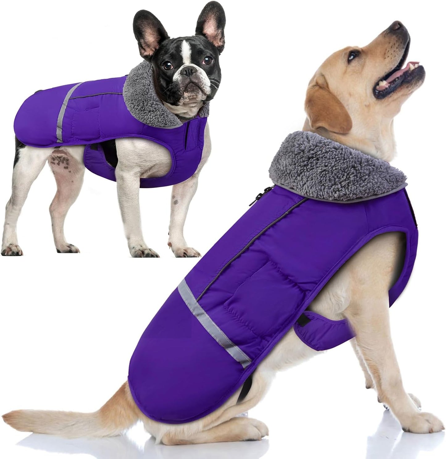 Doglay Dog Coat - Waterproof Winter Jacket for All Dogs