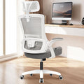 NEO CHAIR Office Desk Chair High Back Mesh with Adjustable Armrests