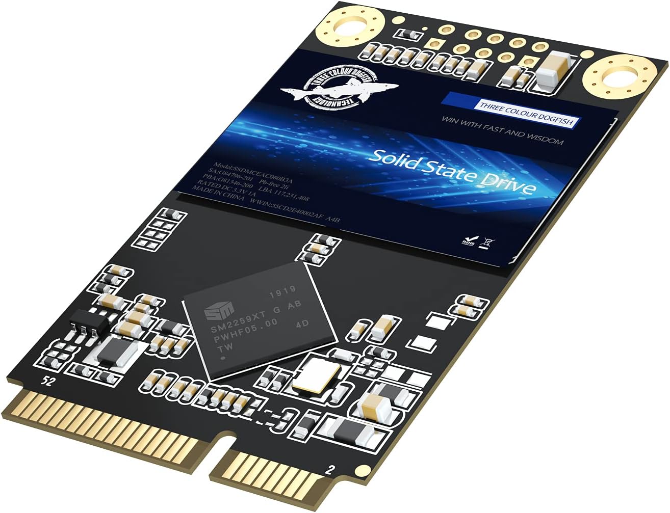 Dogfish mSATA SSD 500GB for Fast Performance in PCs and Laptops