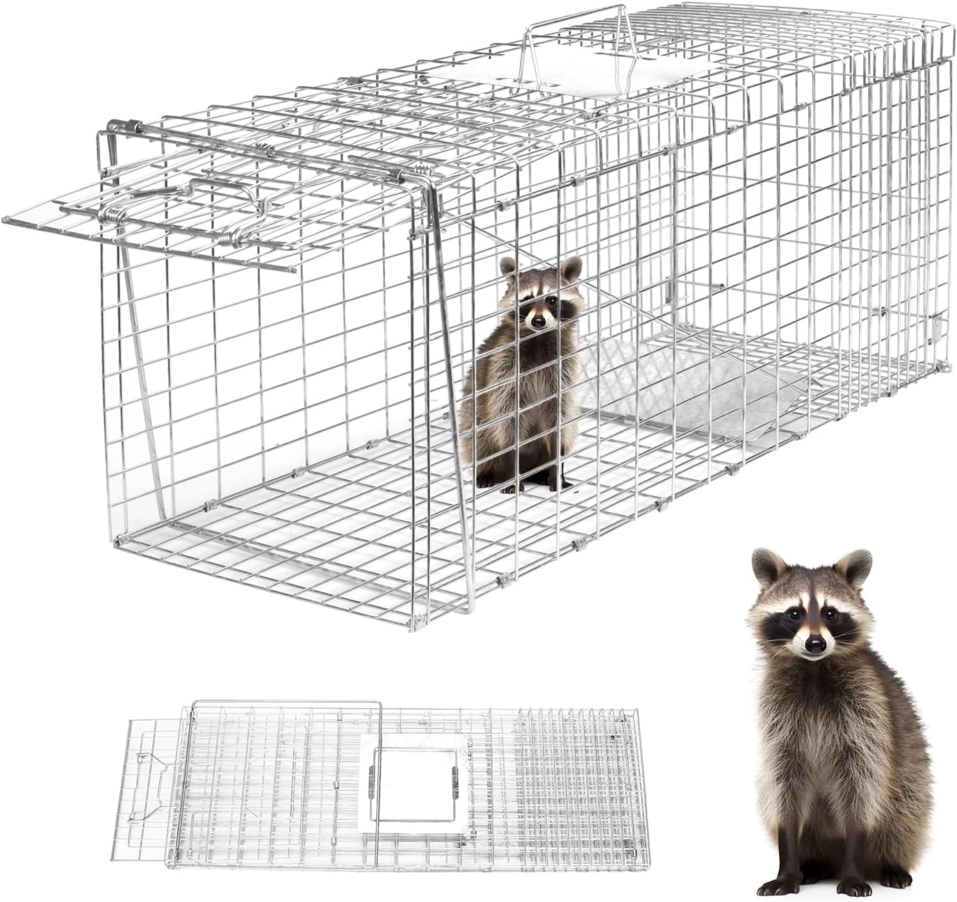 Humane Live Animal Trap for Raccoons, Cats, and Squirrels