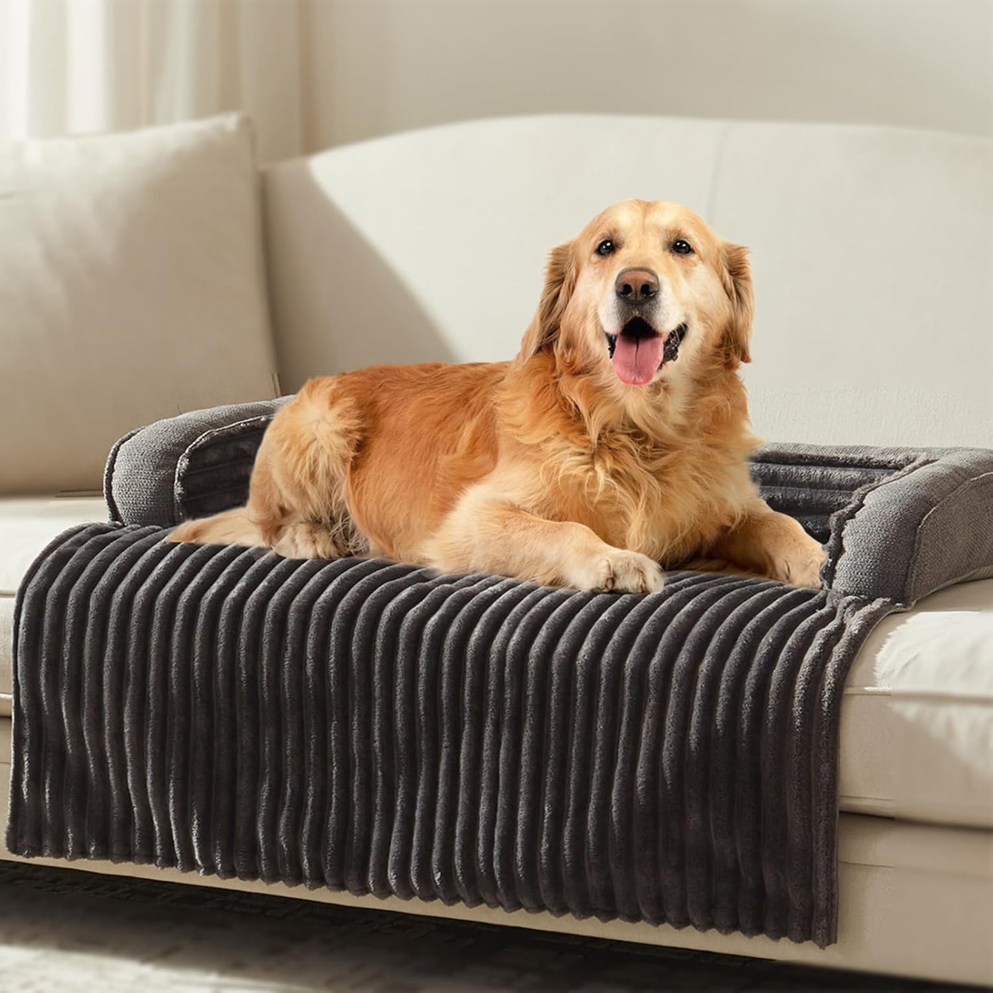 Luxury Dog Couch Bed for Small to Large Dogs - Grey X-Large